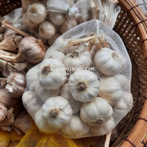 Tỏi Phan Rang Garlic chất lượng cao- 500g