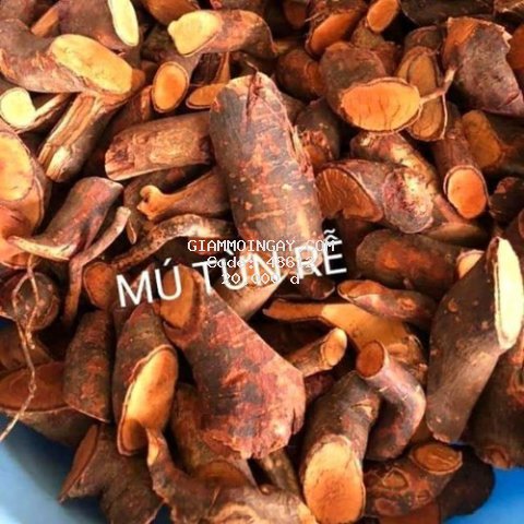 1kg Cây Mú Từn Bổ Thận Tráng Dương