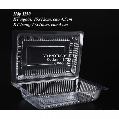 BỘ 100 HỘP NHỰA ĐỰNG BÁNH BÔNG LAN, SU KEM 17 X 10CM, CAO 3.5 CM - H50