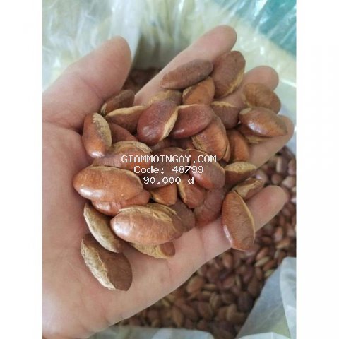 Hạt kơnia Đaklak 1kg chọn kỹ chưa rang