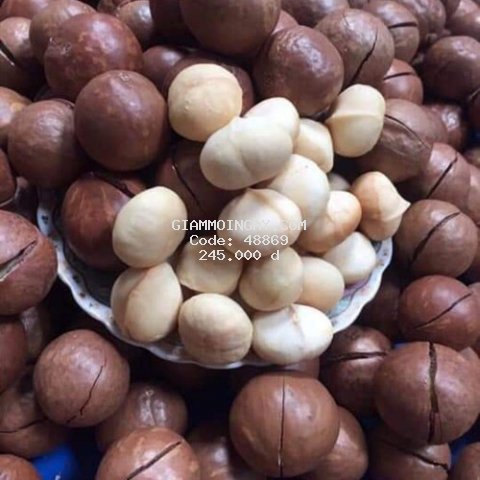 HẠT MACCA LOẠI 1 DAKLAK 1Kg -ĐẢM BẢO CHẤT LƯỢNG