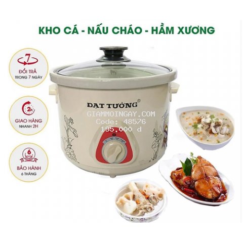 Nồi điện kho cá, thịt, hầm cháo chậm Đạt Tường 1.5L- 2.5L